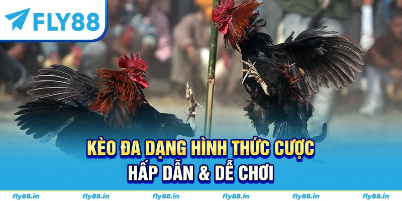 Kèo đa dạng hình thức cược hấp dẫn & dễ chơi